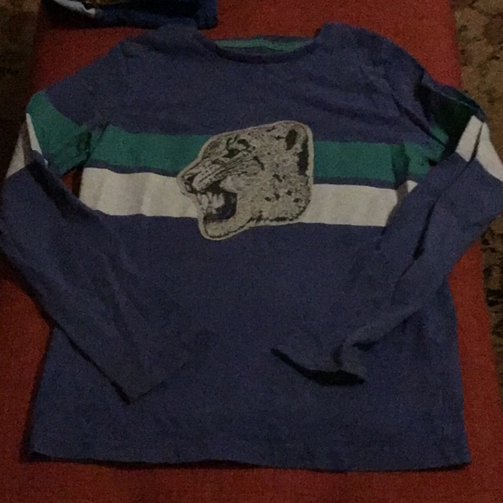 Mini Boden long sleeve t shirt